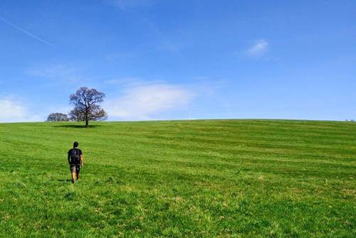 Walking across Epping Fields Walking across Epping Fields