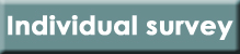 Individual Survey Individual Survey